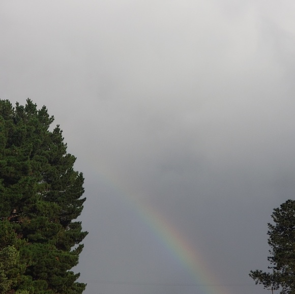 About Us: Andrew & Veronica - Picture 4 of 4